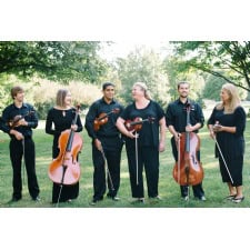 201503181419-viva-la-strings