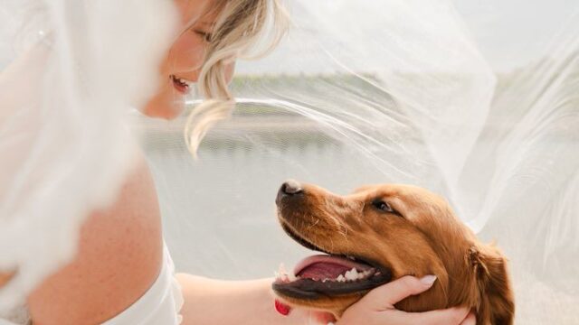 544626909_773467815653465_1678394964665777810_n